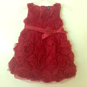 Baby Gap tulle rose holiday dress
